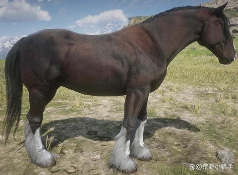 荒野大镖客2如何换马