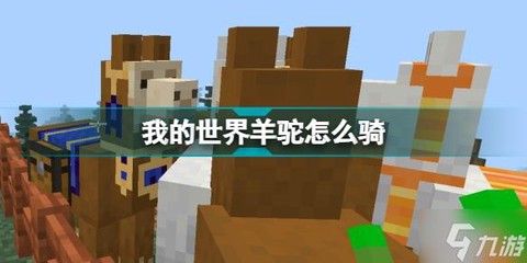 我的世界骑羊驼要什么