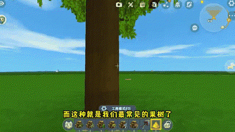 迷你世界如何种树苗[图1]