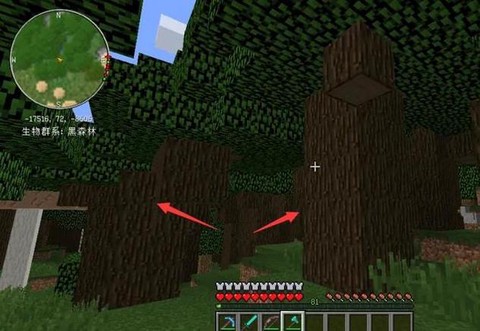 我的世界橡树怎么种