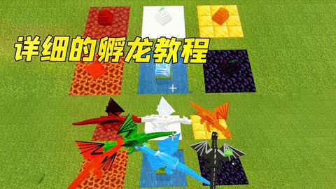 我的世界龙蛋怎么得到[图2]