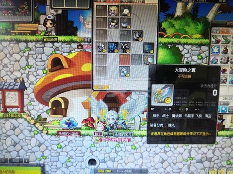 冒险岛2满级干什么