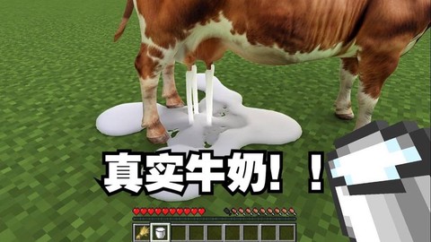 我的世界牛奶怎么挤[图2]