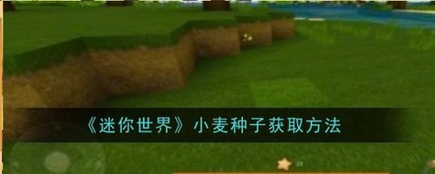 迷你世界如何收获麦子[图1]