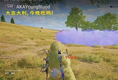 绝地大逃杀怎么看分段