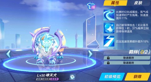 qq飞车手游什么宠物好