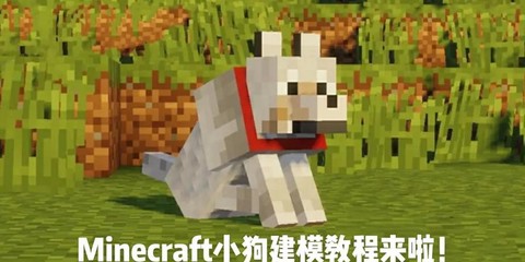 我的世界狗吃什么肉[图1]