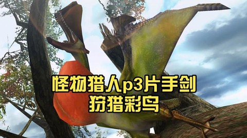 怪物猎人p3怎么打彩鸟[图1]