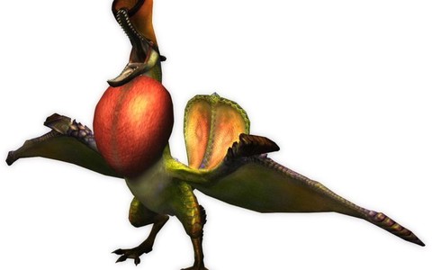 怪物猎人p3怎么打彩鸟[图2]