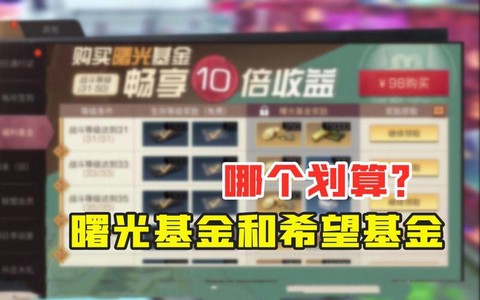 明日之后基金买什么